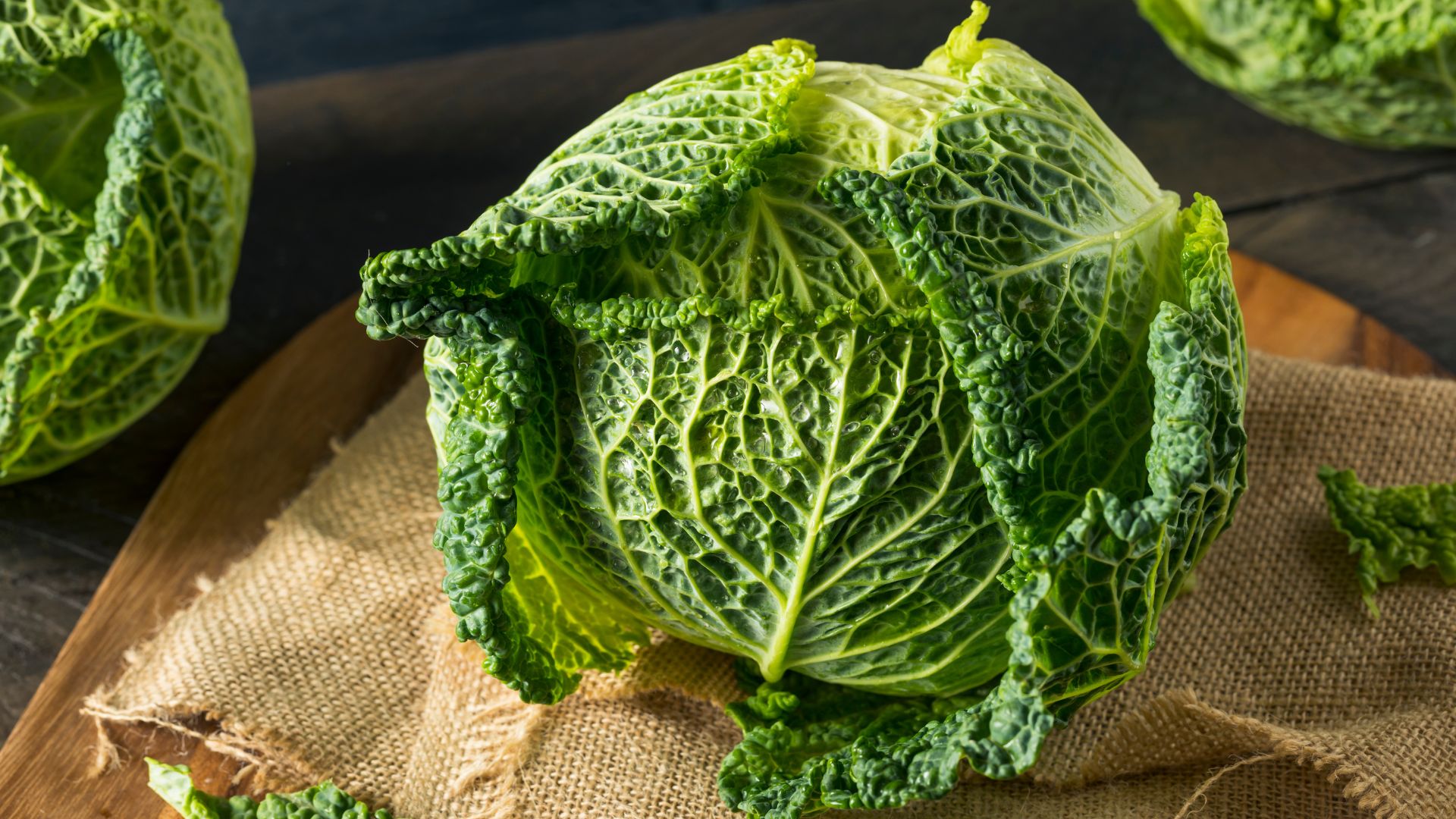 Roasted Cabbage with Creamy Capsicum Dip | Poetry of Spices